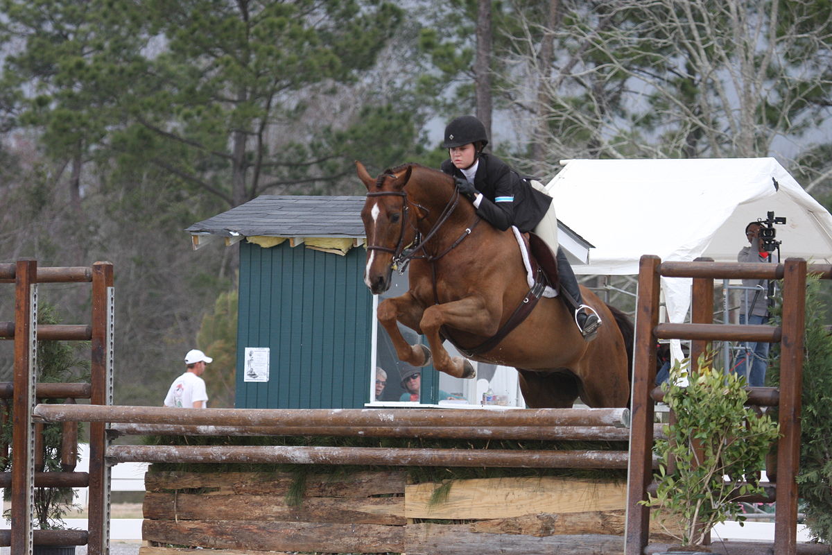The Aspect Of Risk Management In A Horse Hunting Competition